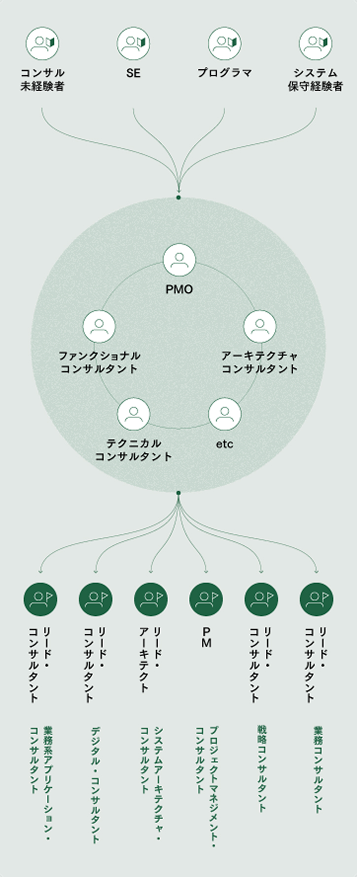 キャリアパスイメージ図